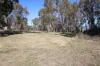 144 Millers Lane, Tenterfield, NSW 2372-Image