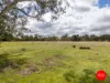 1445 Bendigo-Sutton Grange Road, Sutton Grange, Vic 3448-Image
