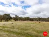 1445 Bendigo-Sutton Grange Road, Sutton Grange, Vic 3448-Image