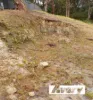 144B Coal Point Road, Coal Point, NSW 2283-Image