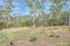 146 River Pines Drive, Delan, Qld 4671-Image