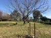 1478  Mayrung Road, Finley, NSW 2713-Image