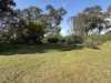 1478  Mayrung Road, Finley, NSW 2713-Image