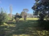 1478  Mayrung Road, Finley, NSW 2713-Image