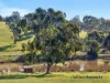 15 Alva Downs Rise, Yea, Vic 3717