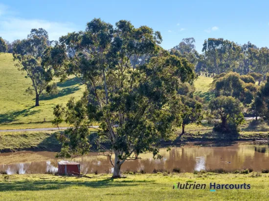 15 Alva Downs Rise, Yea, Vic 3717