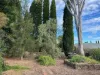 15 Ascot Road, Bowral, NSW 2576-Image