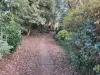 15 Ascot Road, Bowral, NSW 2576-Image