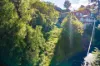 15 Bellbird Crescent, Merimbula, NSW 2548-Image