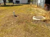 15 Boorandalla Street, Texas, Qld 4385-Image