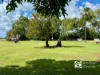 15 Deacon Lane, Boonooroo, Qld 4650-Image