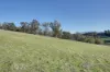 15 Fallow Drive, Cambridge, Tas 7170-Image