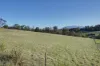 15 Fallow Drive, Cambridge, Tas 7170-Image