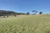 15 Fallow Drive, Cambridge, Tas 7170-Image