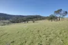 15 Fallow Drive, Cambridge, Tas 7170-Image