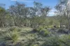 15 Fallow Drive, Cambridge, Tas 7170-Image