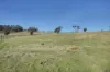 15 Fallow Drive, Cambridge, Tas 7170-Image