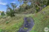15 Grevillea Avenue, Old Beach, Tas 7017-Image