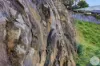15 Grevillea Avenue, Old Beach, Tas 7017-Image