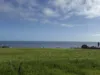 15 Gulfview Drive, Tickera, SA 5555