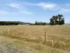 15 High Street, Mathinna, Tas 7214-Image