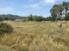 15 High Street, Mathinna, Tas 7214-Image