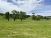 15 IRONBANK ROAD, Upper Sturt, SA 5156-Image