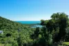 15 Neerim Crescent, Shute Harbour, Qld 4802-Image