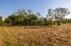15 Paddy Court, Girraween, NT 0836-Image