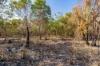15 Paddy Court, Girraween, NT 0836-Image