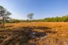 15 Paddy Court, Girraween, NT 0836-Image