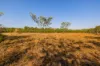 15 Paddy Court, Girraween, NT 0836-Image
