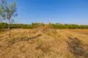 15 Paddy Court, Girraween, NT 0836-Image