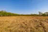 15 Paddy Court, Girraween, NT 0836-Image