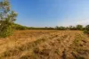 15 Paddy Court, Girraween, NT 0836-Image