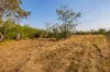 15 Paddy Court, Girraween, NT 0836-Image