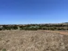 15 Patten Place, White Peak, WA 6532-Image