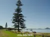 15 Peace Parade, Pindimar, NSW 2324-Image