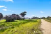 15 Sutherland Lane, Welshpool, Vic 3966-Image