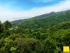 150-158 Stanton Road, Smithfield, Qld 4878-Image