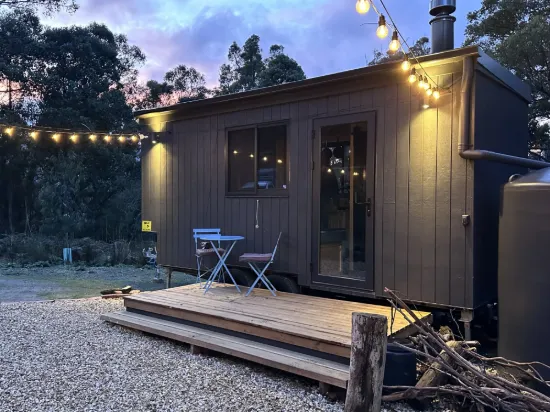 150 Fyfes Road, Mountain River, Tas 7109