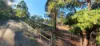 150 Fyfes Road, Mountain River, Tas 7109-Image