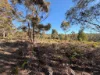 150 Kelletts Road, Sloping Main, Tas 7186-Image