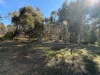 150 Kelletts Road, Sloping Main, Tas 7186-Image