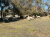 150 Kelletts Road, Sloping Main, Tas 7186-Image