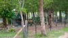 151 Baldaw Rd, Captain Creek, Qld 4677-Image