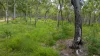 151 Baldaw Rd, Captain Creek, Qld 4677-Image