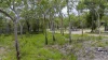 151 Baldaw Rd, Captain Creek, Qld 4677-Image