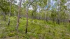 151 Baldaw Rd, Captain Creek, Qld 4677-Image