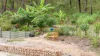 151 Baldaw Rd, Captain Creek, Qld 4677-Image